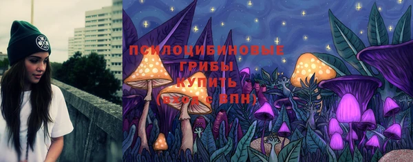 2c-b Богородицк