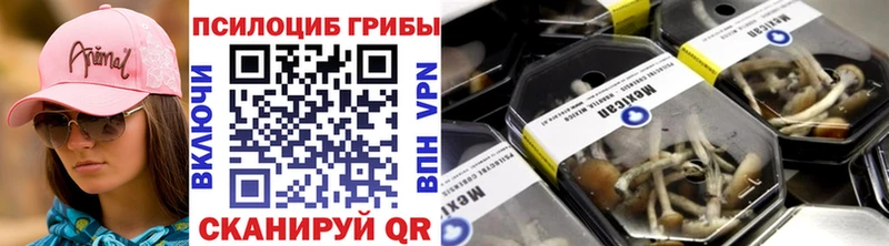 МЕГА ТОР  Дагестанские Огни  Галлюциногенные грибы Magic Shrooms  закладки 