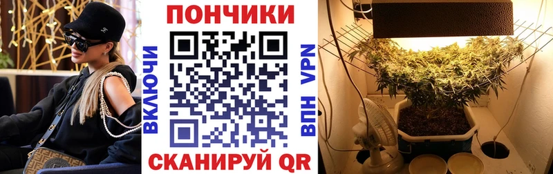 Марихуана THC 21%  Дагестанские Огни 